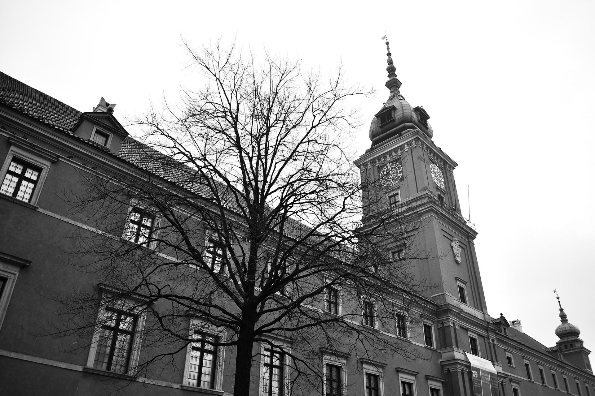 Nikon D5600 - test lustrzanki z Wi-Fi i Bluetooth dla entuzjastów fotografii 91