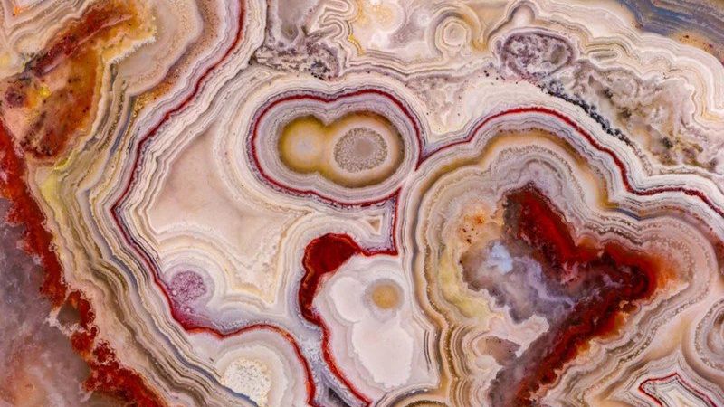 Ekstremalne makro: jedno zdjęcie składa się z 25 000 obrazów 1