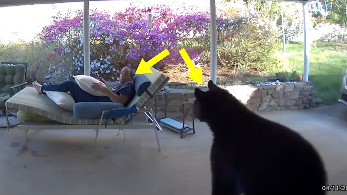 Wideo z kamery w dzwonku do drzwi wejściowych mieszkania Davida Oppenheimera.