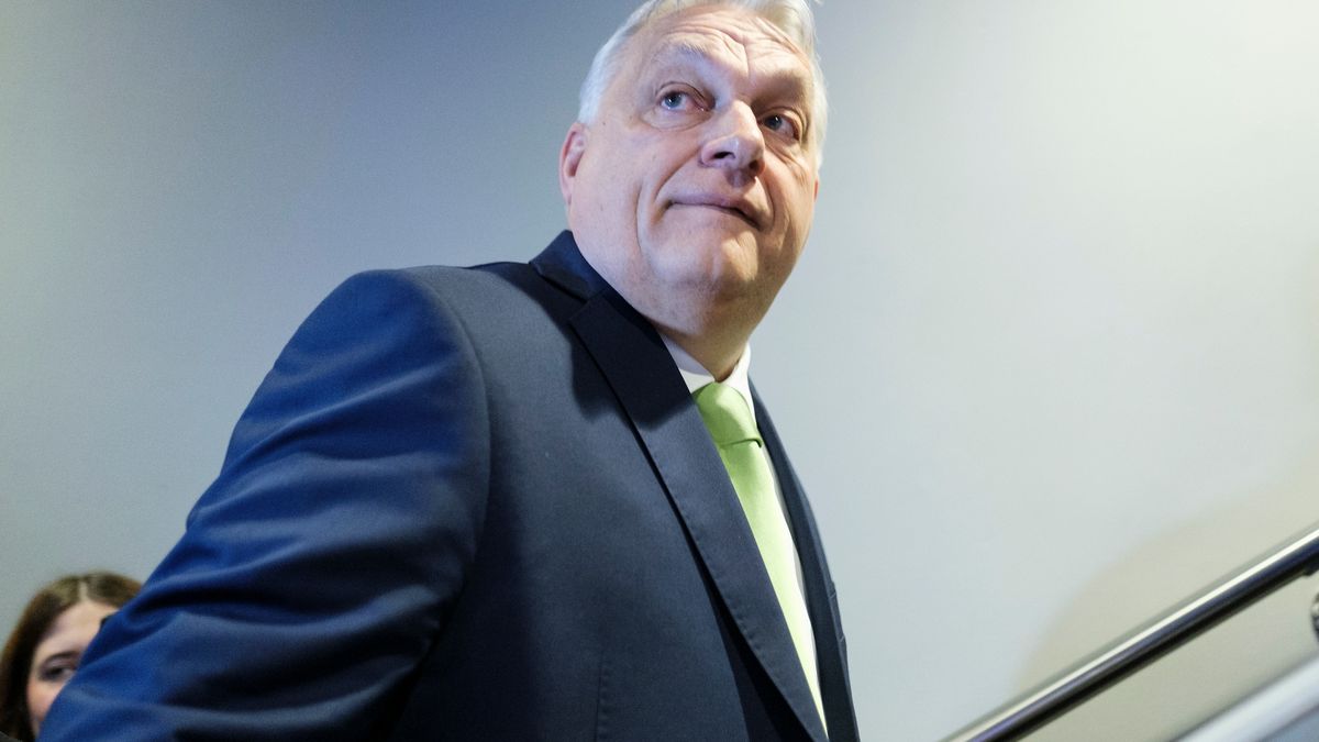 Przestraszyli się gróźb rządu Orbana? Zmiana cen na węgierskich stacjach