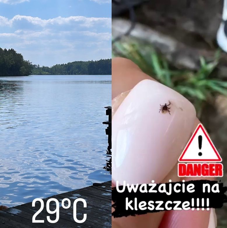 Katarzyna Cichopek spędza weekend na łonie natury
