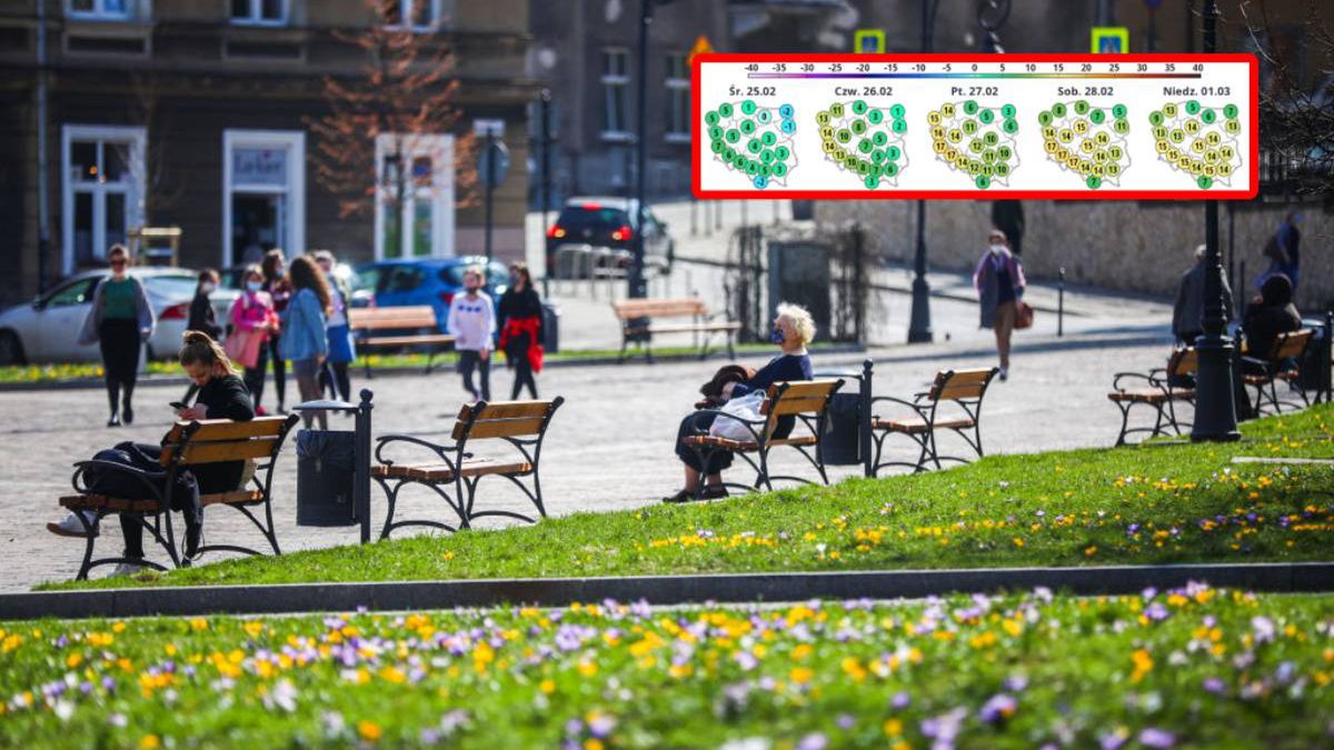 Spring In Poland
People enjoy sunny spring weather during the coronavirus pandemic at the Podgorski Square in Krakow, Poland on April 1sr, 2021. (Photo by Beata Zawrzel/NurPhoto via Getty Images)
NurPhoto
polish, cracow, growing, blooming, spring, green, violet, bloom, pandemic, covid, park, square, coronavirus pandemic, sunny spring weather, podgorski square, beata zawrzel, nurphoto, sr
