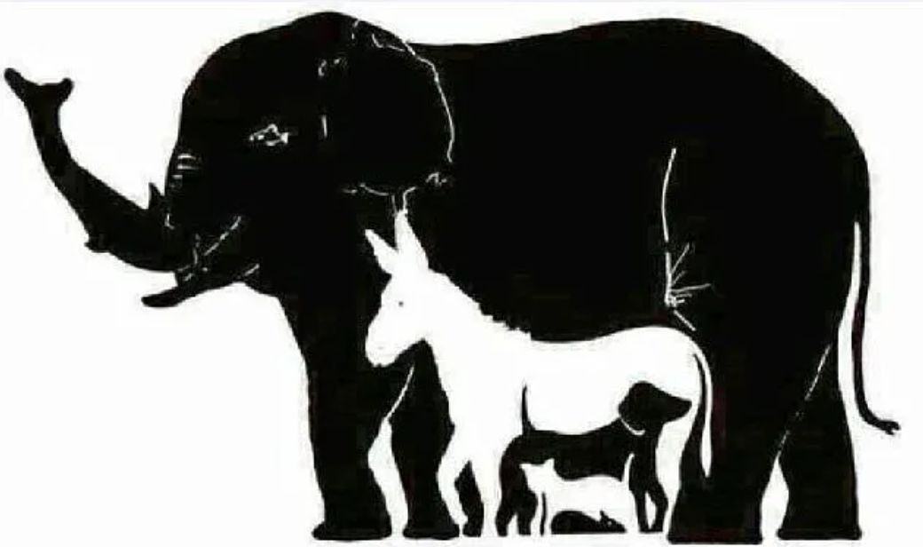 Jedna z najtrudniejszych łamigłówek obrazkowych. Uda ci się znaleźć 16 zwierząt?