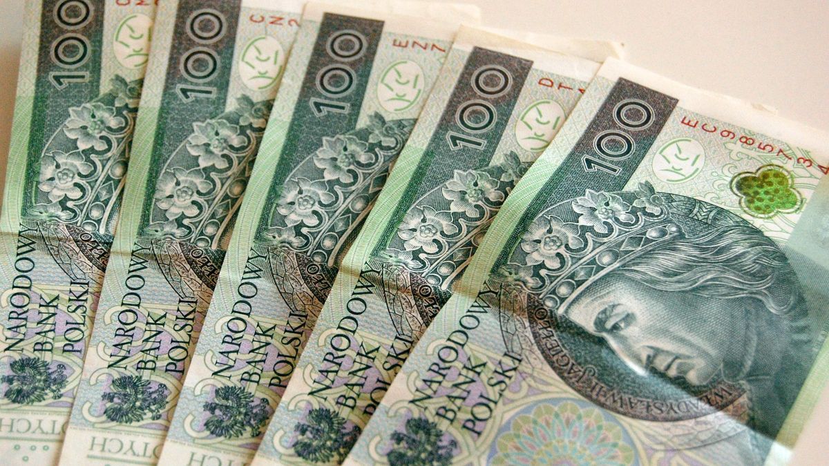 pieniądze, 500 plus, waluty, złoty, sto złotych