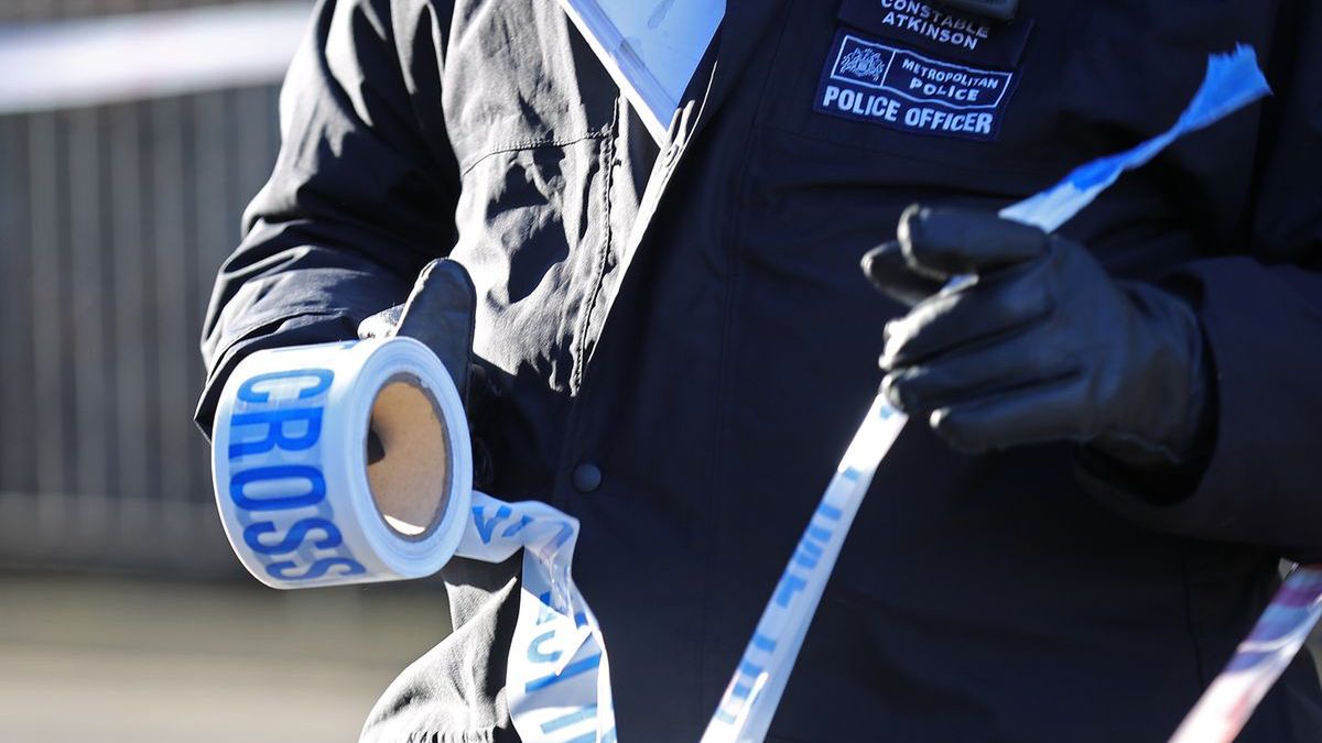 Makabryczna tragedia rozegrała się we wschodnim Londynie. Na skutek ran kłutych zginęła roczna dziewczynka i trzylatek