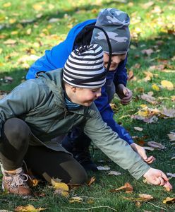 Pogoda. Potężny wyż Oliver nad Polską. Padnie rekord