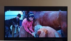 Koniec emisji TVP 4K. TVP Kultura i TVP Kobieta z nowego multipleksu