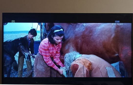 Koniec emisji TVP 4K. TVP Kultura i TVP Kobieta z nowego multipleksu