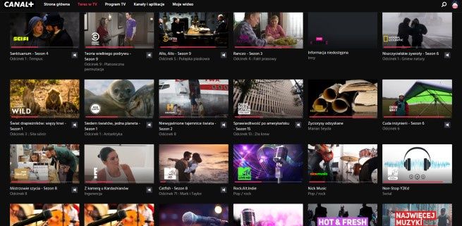 Nowe kanały w Canal+