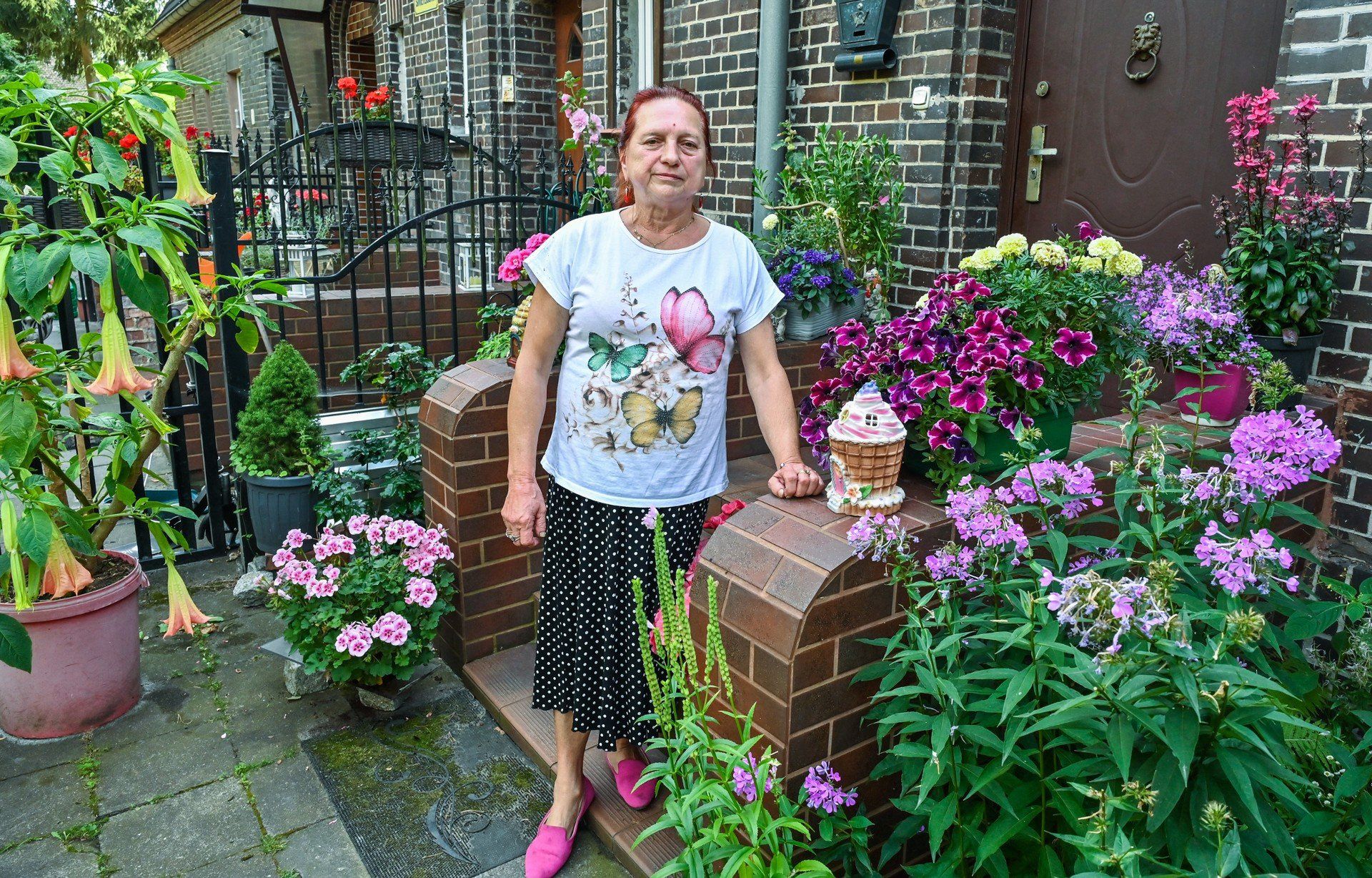 W ogrodzie pani Marii Nowickiej przy ulicy Świetlicowej w bydgoskim Łęgnowie nie brakuje begonii, surfinii i pelargonii. Ogrodniczka najbardziej dumna jest jednak z wysokich, dwumetrowych bagiennic