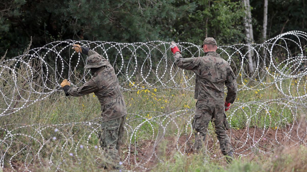 monta� drutu kolczastegoArtur Reszkogranica, granicy, graniczny, imigranci, migranci, pas, polskie, przekraczanie, stra� graniczna, BINARY<(8) bytes>, wojsko, �o�nierze, drut kolczasty, druty kolczaste, polsko bia�oruska, polsko-bia�oruska