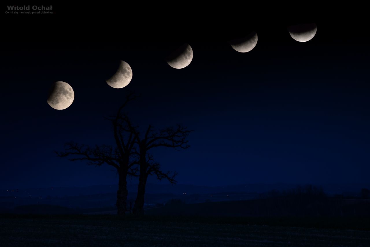 Zaćmienie Księżyca 2019: Dziękujemy za wasze zdjęcia!