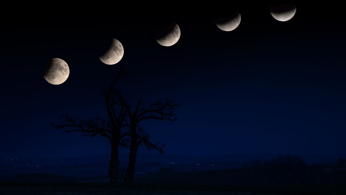 Zaćmienie Księżyca 2019: Dziękujemy za wasze zdjęcia! 1