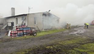 Pożar na fermie. Spłonęły 23 tysiące żywych zwierząt