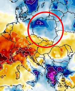 Szalona prognoza na majówkę. Gdzie będzie najcieplej?