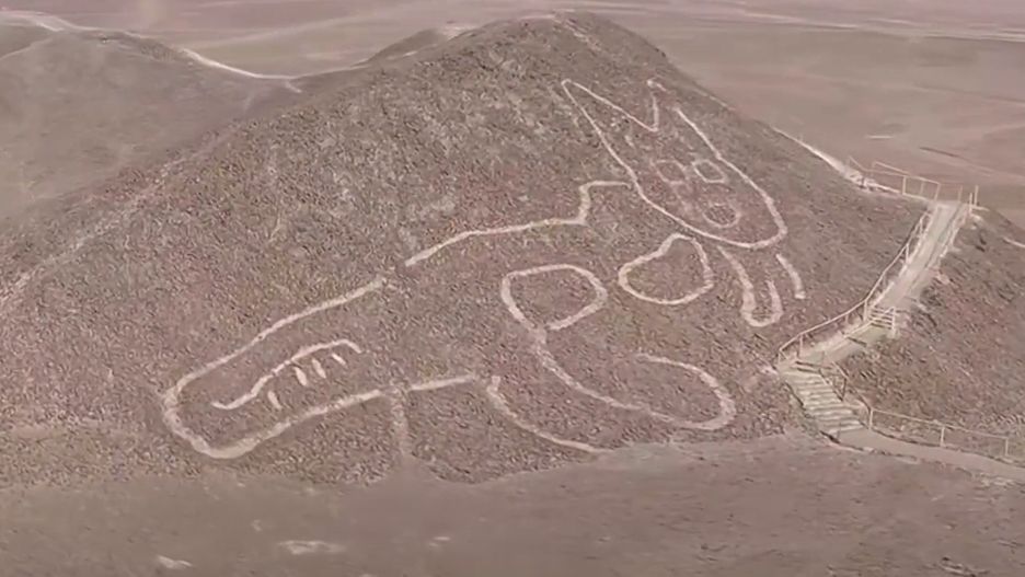Rysunek kota w Peru (Nazca)