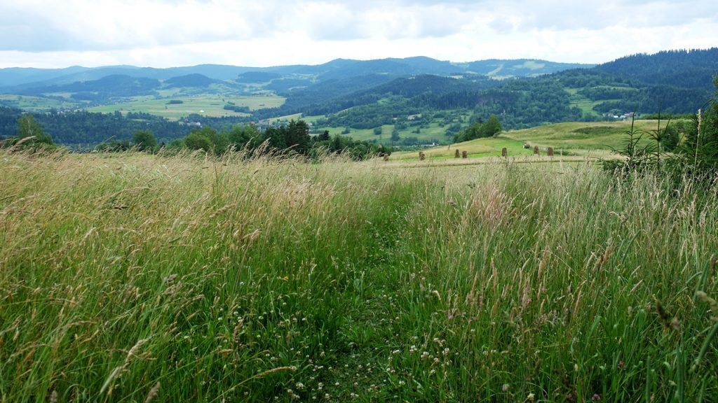 Luboń Wielki