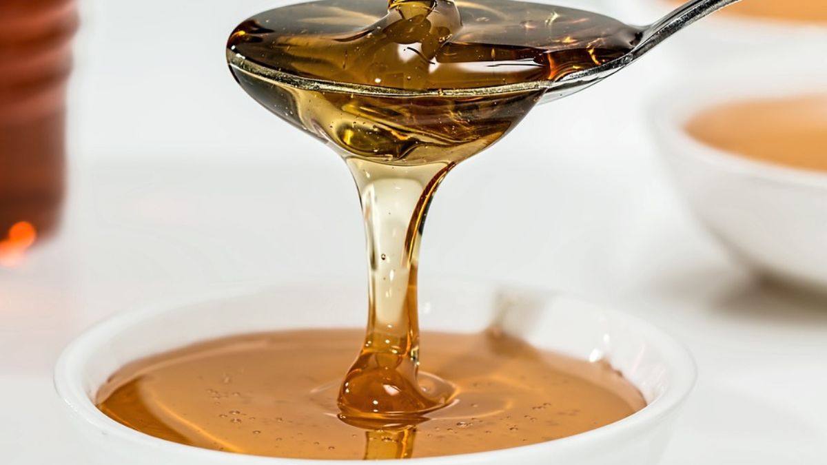 Miód elficki to najdroższy miód świata