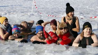 Grudziądz: Morsy nie odpuszczają nawet w kilkunastostopniowym mrozie