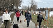 Radom: Spacer socjalizacyjny dla psów. Przeszli się nad zalewem na Borkach