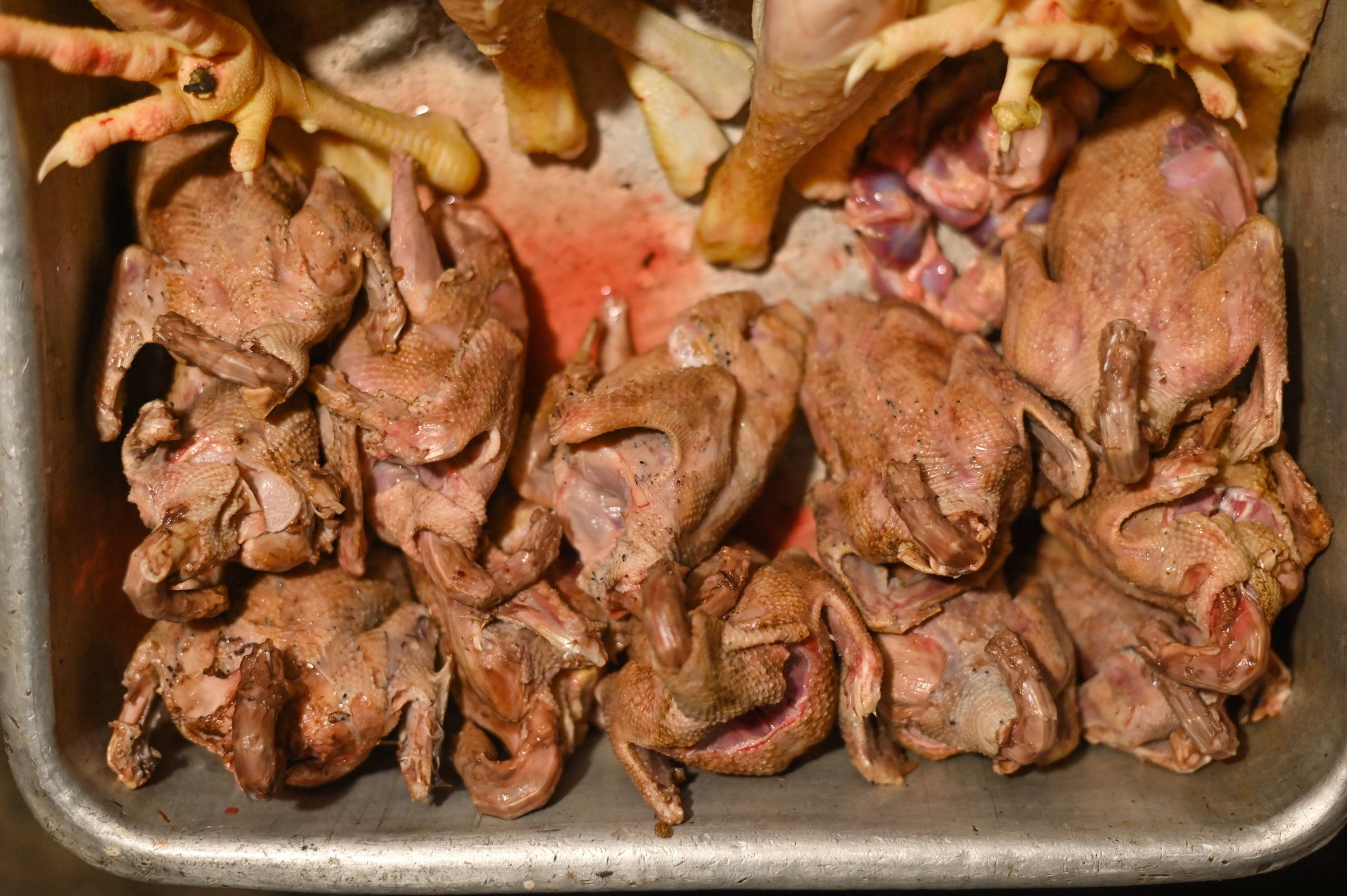 Mięso z gołębia jest wyjątkowo delikatne