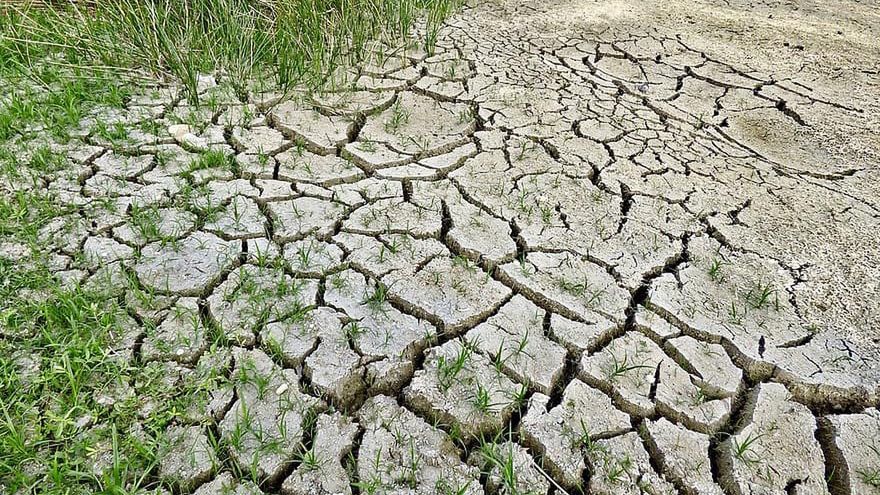 Zmiany klimatyczne są niesamowicie groźne - alarmuje Czerwony Krzyż