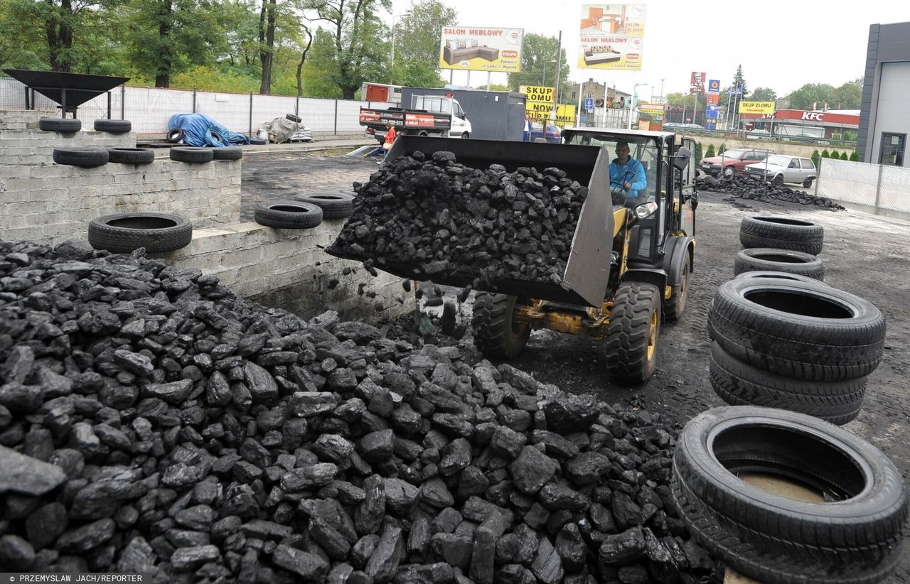 Zakup węgla w e-sklepie. Pracownicy punktu opałowego odpowiedzą za oszustwa