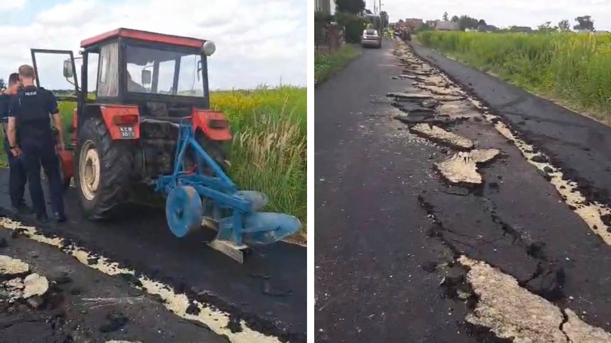 Nie milkną echa afery w Gliwicach. Głos zabrała prezydentka mias