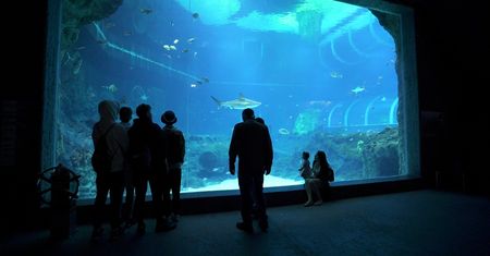 Orientarium robi furorę. Tłumy odwiedzają nową atrakcję w Łodzi