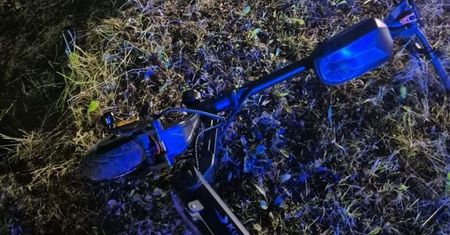 Sarna wybiegła wprost pod hulajnogę. 16-latek nie miał kasku