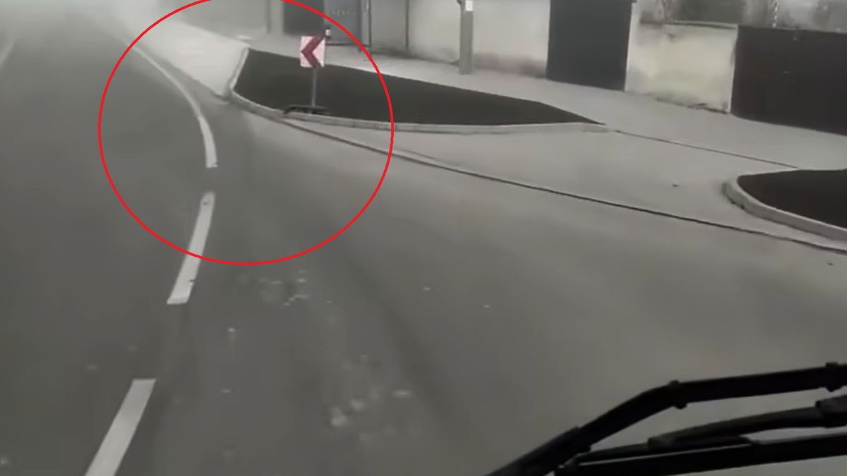 Tego kierowca się nie spodziewał