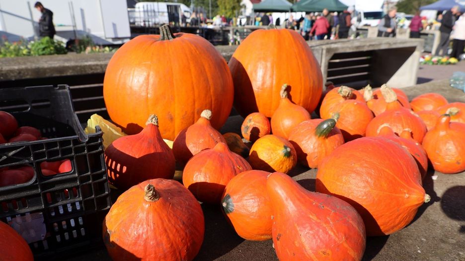 Targowisko miejskie w Szczecinku