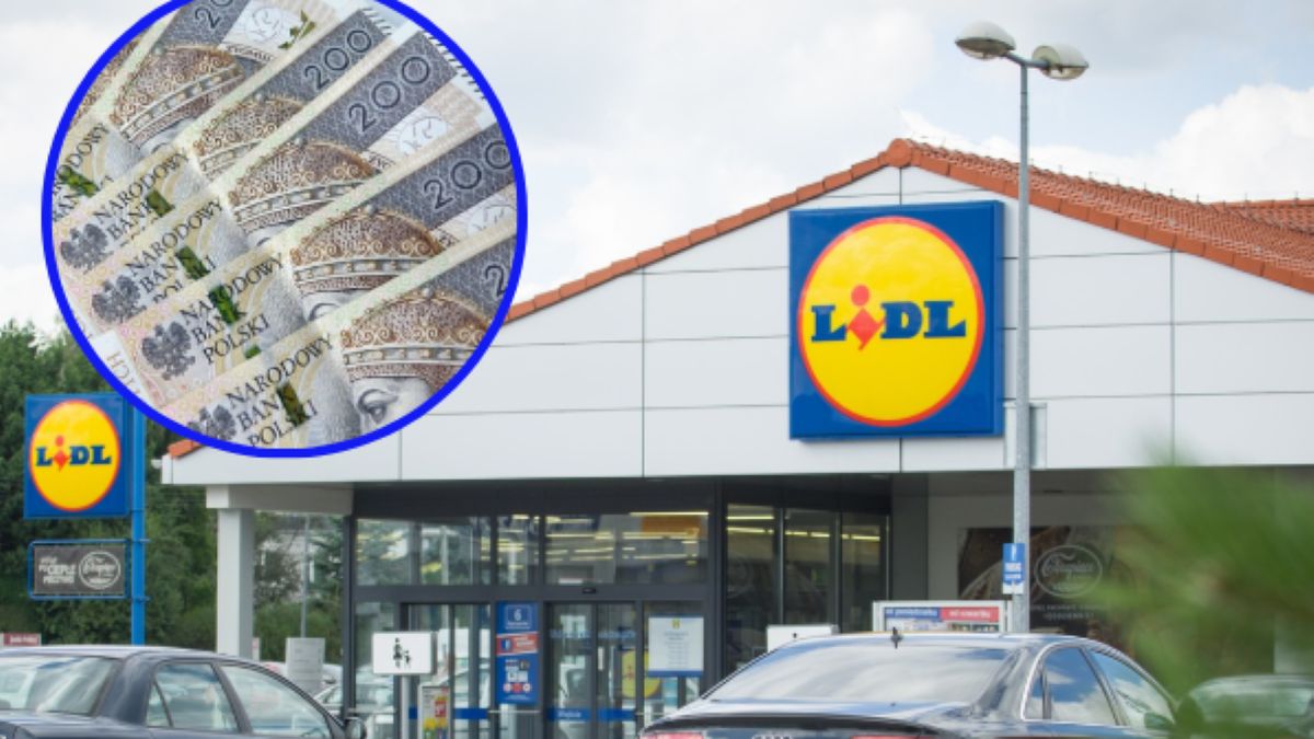 Lidl otwiera nowy sklep w Łodzi. Szuka pracowników