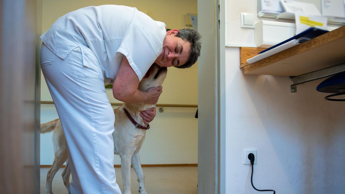 Szpital w Legnicy otwiera na święta drzwi dla pupili pacjentów