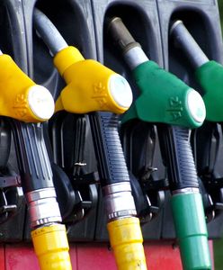 W przyszłym tygodniu ceny paliw będą spadać? Eksperci nie pozostawiają złudzeń