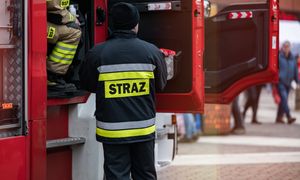 Koszmarny wypadek przy wycince drzewa. Upadek z 12 metrów