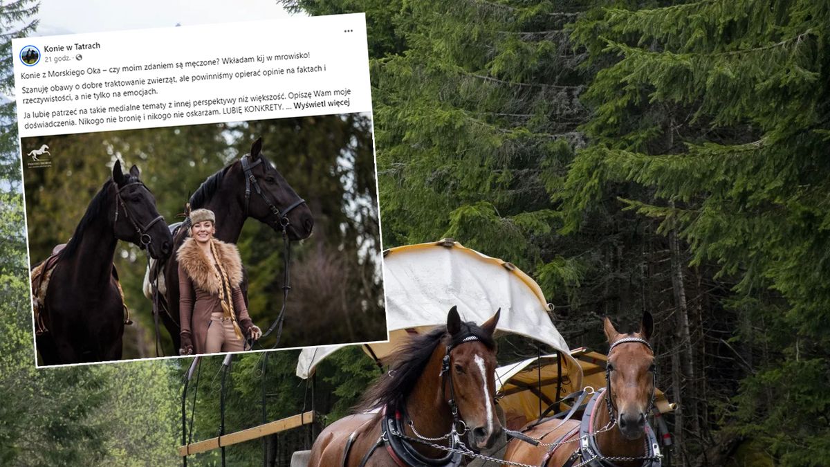 Właścicielka stadniny koni wbiła kij w mrowisko. Mówi o kursach na Morskie Oko