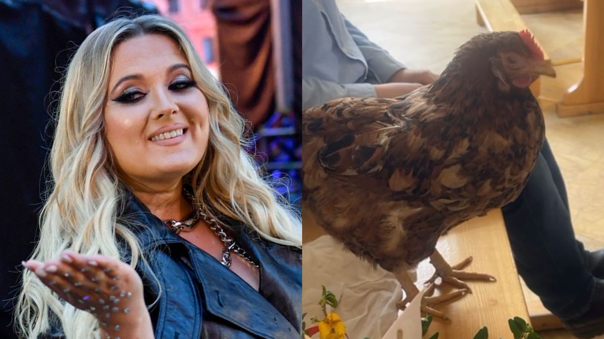 Gosia Andrzejewicz poszła do kościoła z KURĄ. "Siedziała w ławeczce, ksiądz też przyszedł..." (WIDEO)