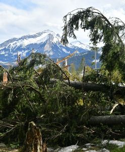 Pogoda. Halny na Podhalu, liczne interwencje straży