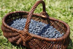 Owoc wiecznej młodości już w sprzedaży. Oto ile kosztuje w tym roku