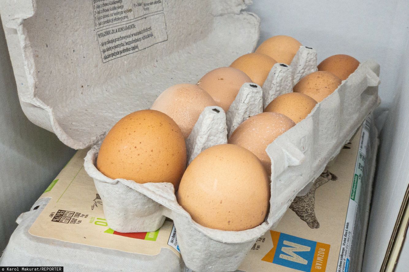 Jajka z dyskontu za 3 złote. "Czym muszą być karmione te kury?"