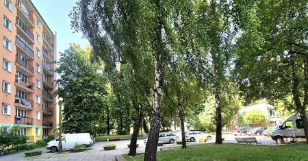 Kultura wraca na Tatary. Lublin odnowi amfiteatr i skwer za ponad 12 milionów złotych