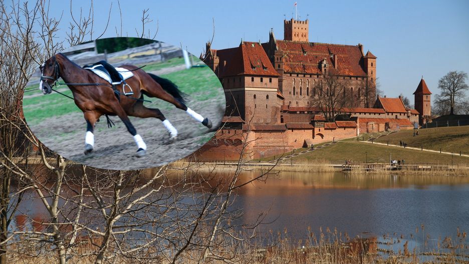 malbork