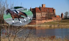 Ekipie filmowej uciekł koń. Alarm w mieście