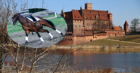 Ekipie filmowej uciekł koń. Alarm w mieście
