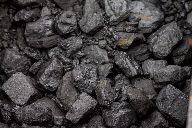 Tam kupi się węgiel bez kolejki. Dostępność i cena to hit na rynku