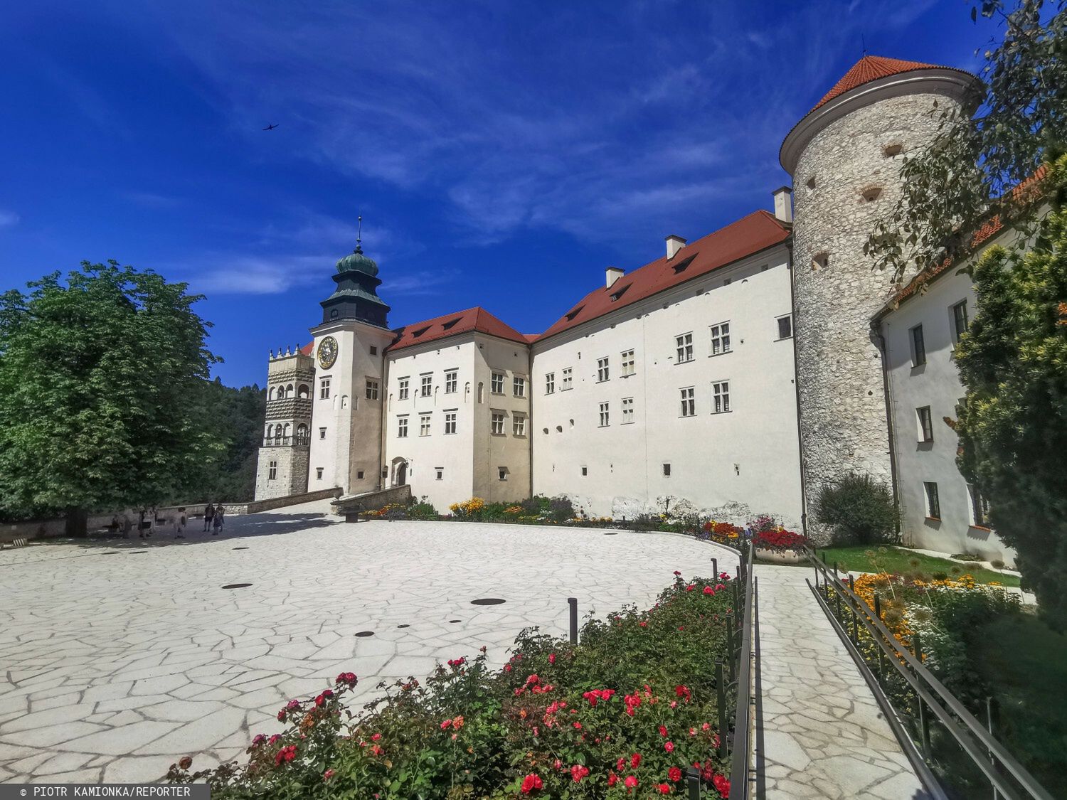 Sułoszowa – viralowa wieś, która podbiła świat