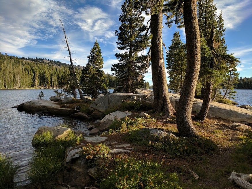 Trzęsienie ziemi w Google'u. Odszedł Marc Levoy, czyli człowiek odpowiedzialny za aparaty Pixeli 3