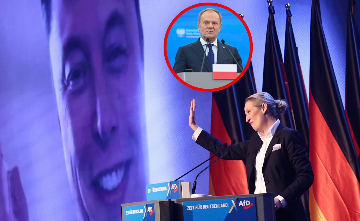 "Poparcie dla AfD w Niemczech to alarm polityczny". Tusk uderza w Muska