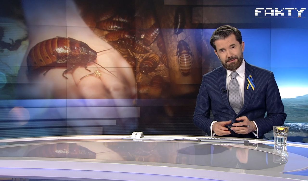 Piotr Marciniak zapowiedział walentynkowy materiał w "Faktach"